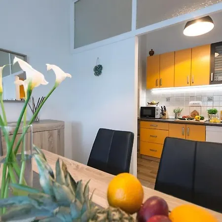 House Katarina With Private Swiming Pool Vila
